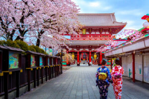 Giappone, Speciale fioritura dei ciliegi - Tokyo